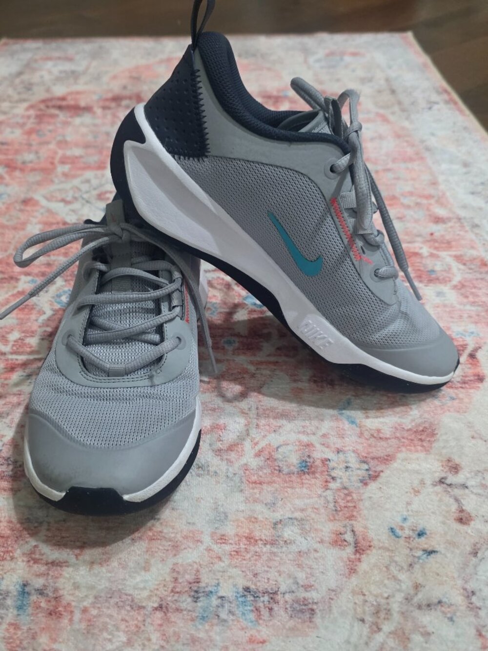 Nike Omni Multi-Court